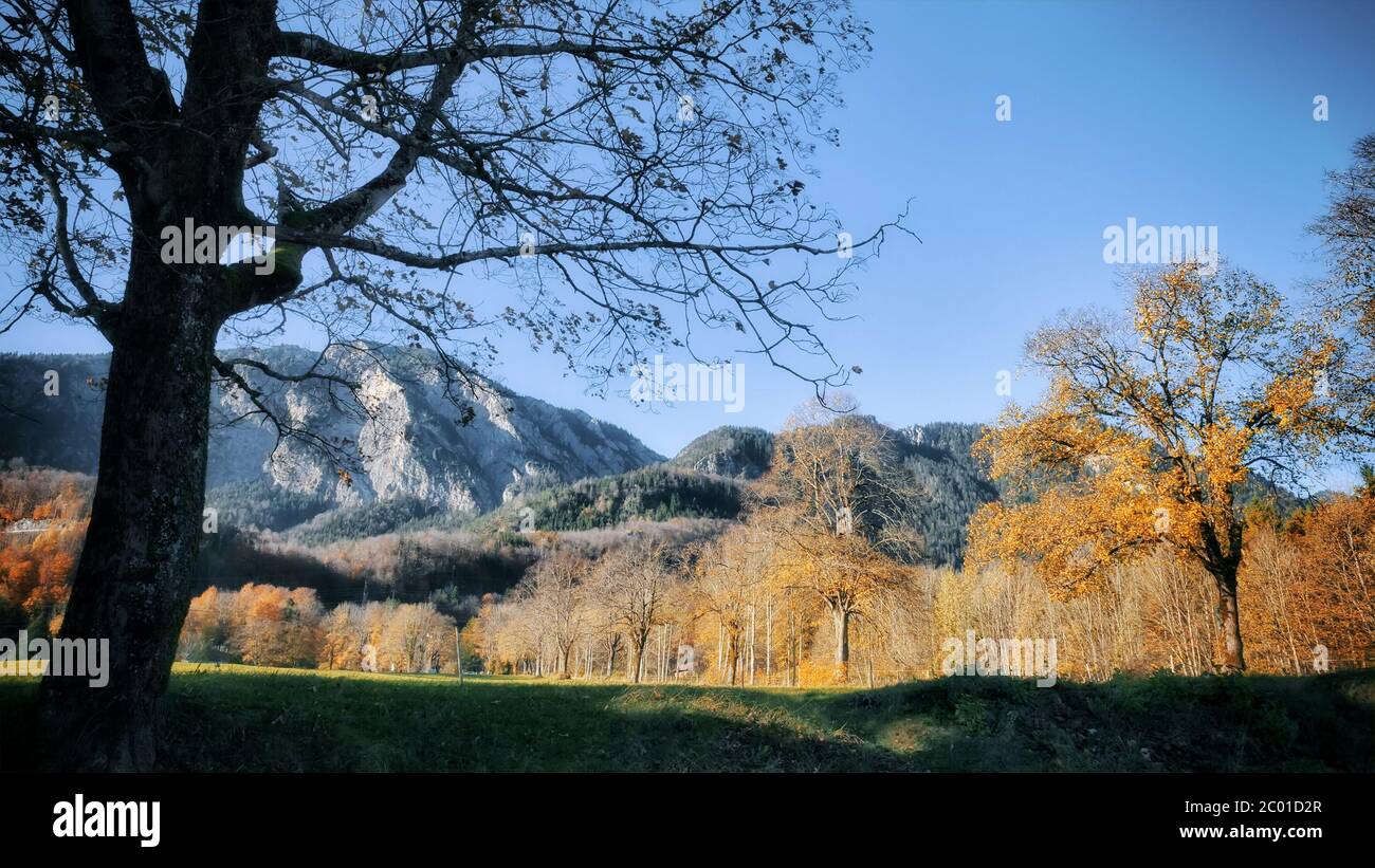 paesaggio di autunno Foto Stock