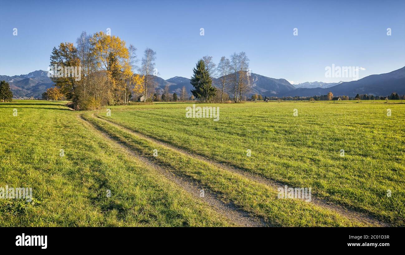 paesaggio di autunno Foto Stock