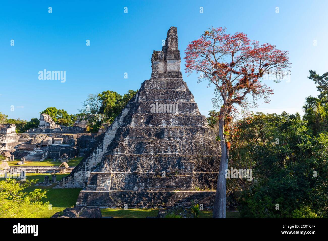 Tempio una piramide o Tempio della Grande Giaguaro, sito archeologico maya di Tikal, Guatemala. Foto Stock