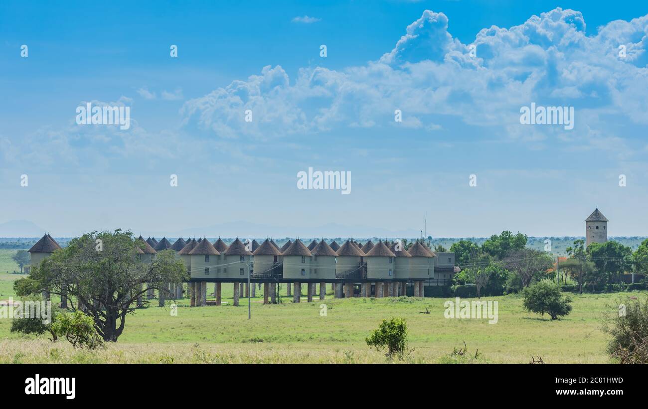 Salt Lick, Parco Nazionale di Tsavo West Foto Stock