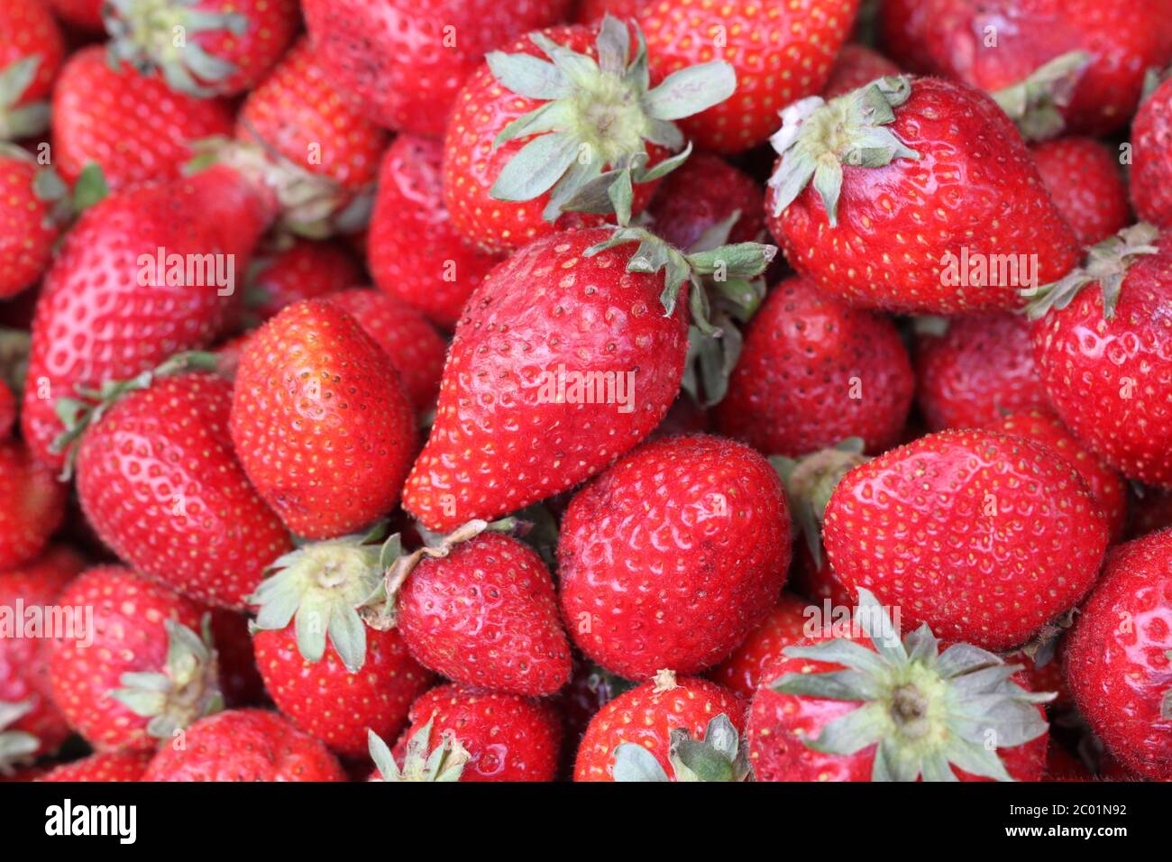 texture di una fragola fotografata Foto Stock