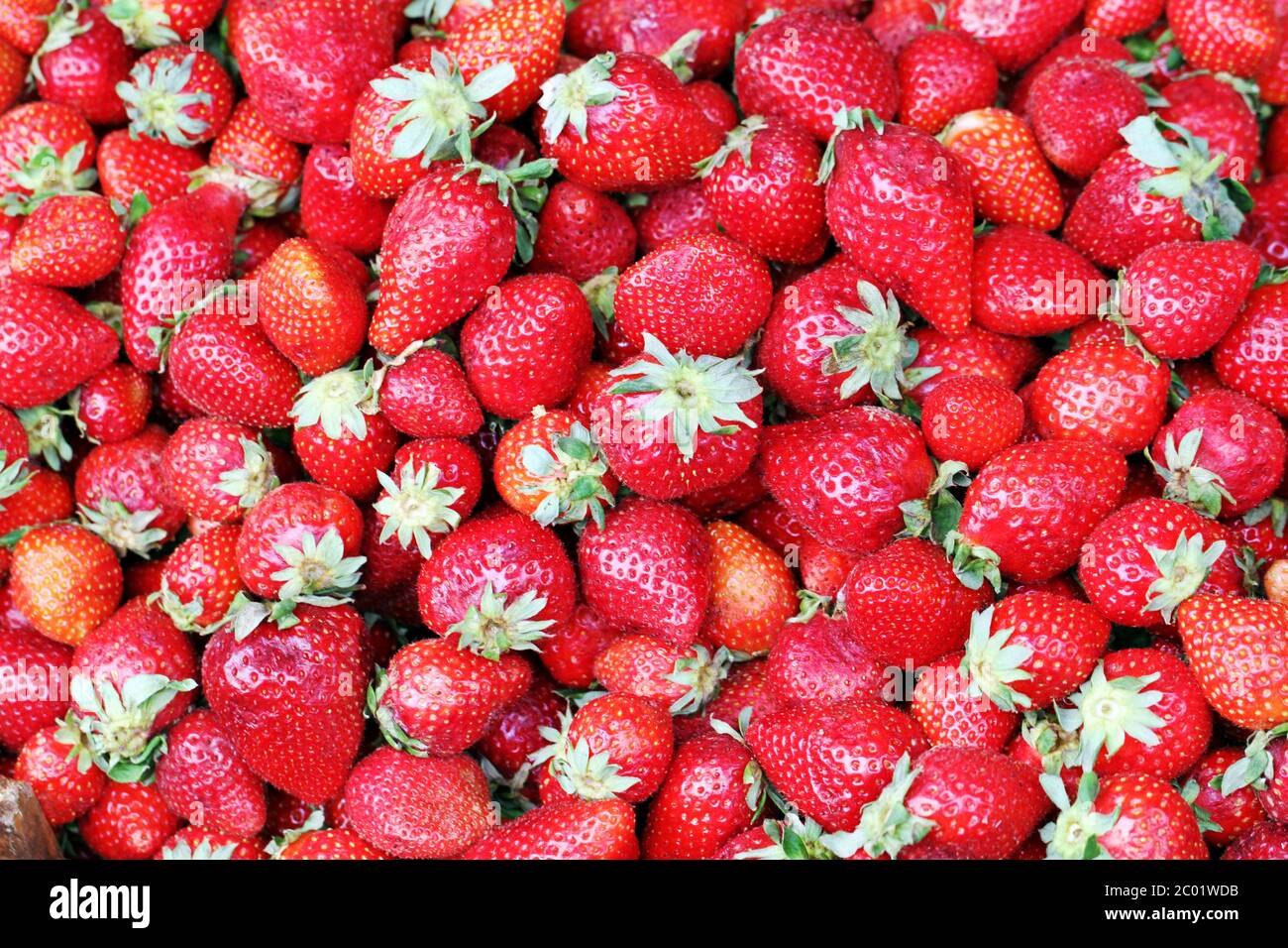 texture di una fragola fotografata Foto Stock