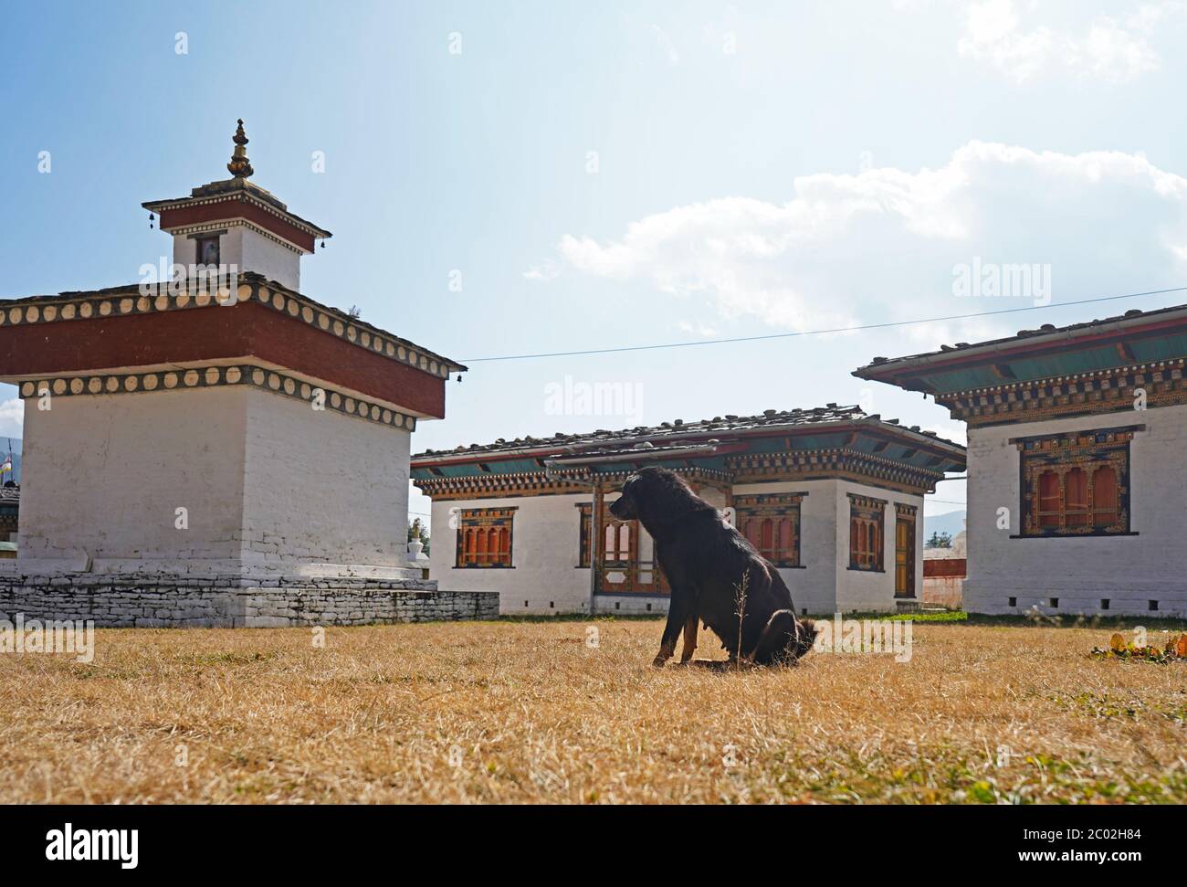 Il cortile di Bumthang Dzong, edifici tradizionali e un cane nero Foto Stock