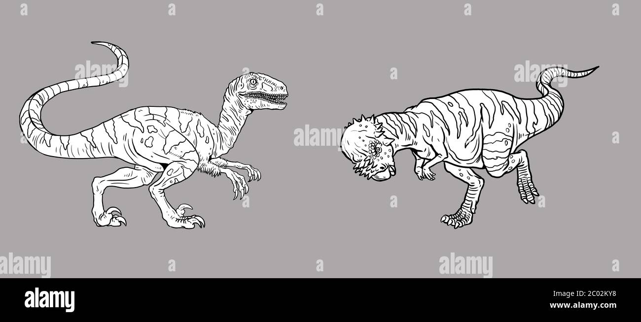 Set di 2 dinosauri: Pachycephalosaurs e Velociraptor. Dinosauri lotta illustrazione. Dinosauro preistorico del periodo jurassico. Foto Stock
