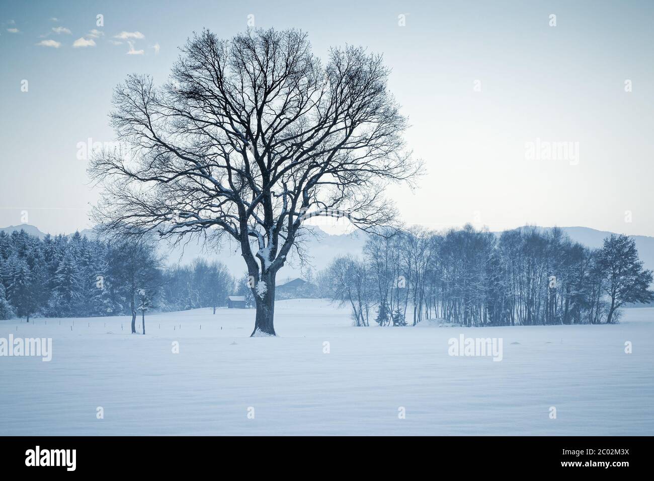paesaggio invernale Foto Stock
