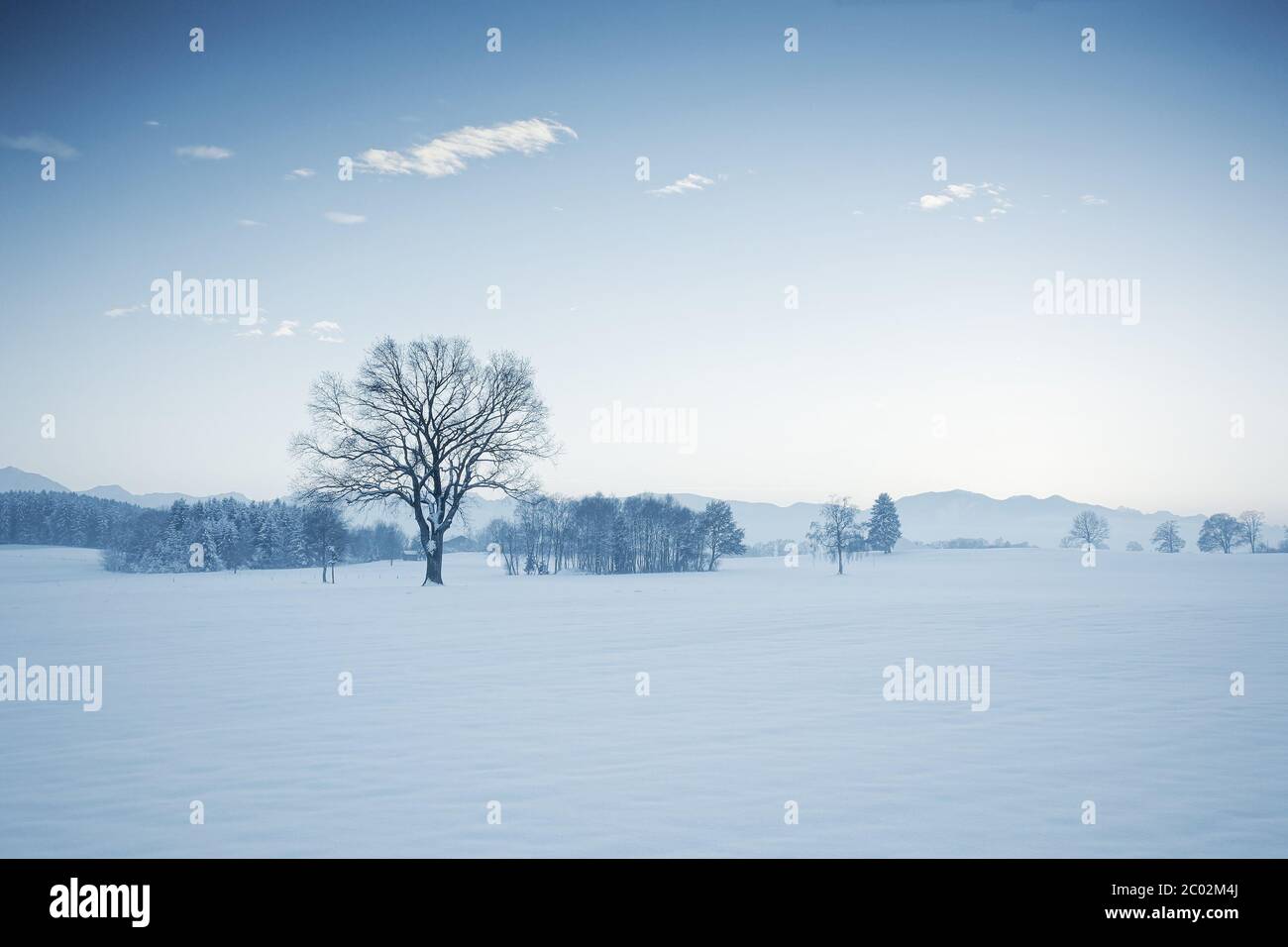 paesaggio invernale Foto Stock