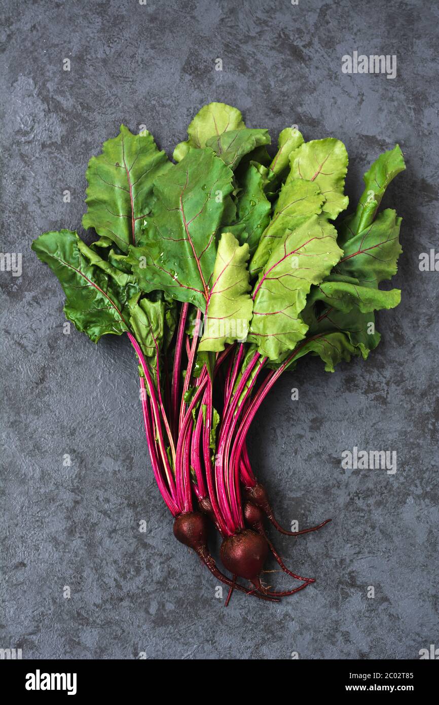 Gruppo di bietole con barbabietole. Barbabietola giovane con foglie fresche su sfondo scuro Foto Stock