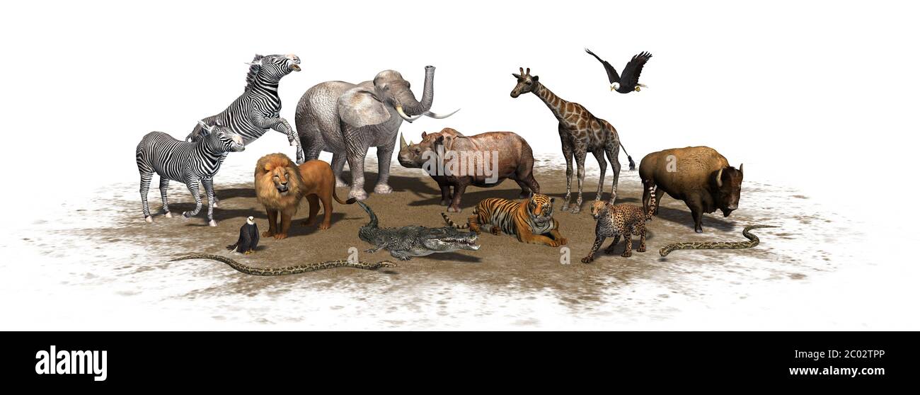 Animali del Selvaggio - isolati su sfondo bianco - illustrazione 3D Foto Stock