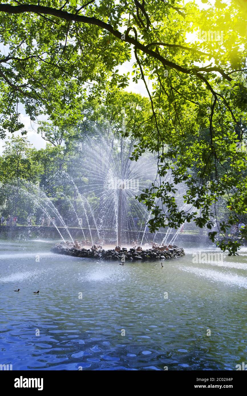 Petrodvorets. Fontana Sun. Foto Stock