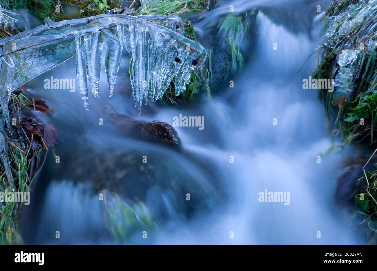 icicle sull'erba dal fiume in inverno Foto Stock