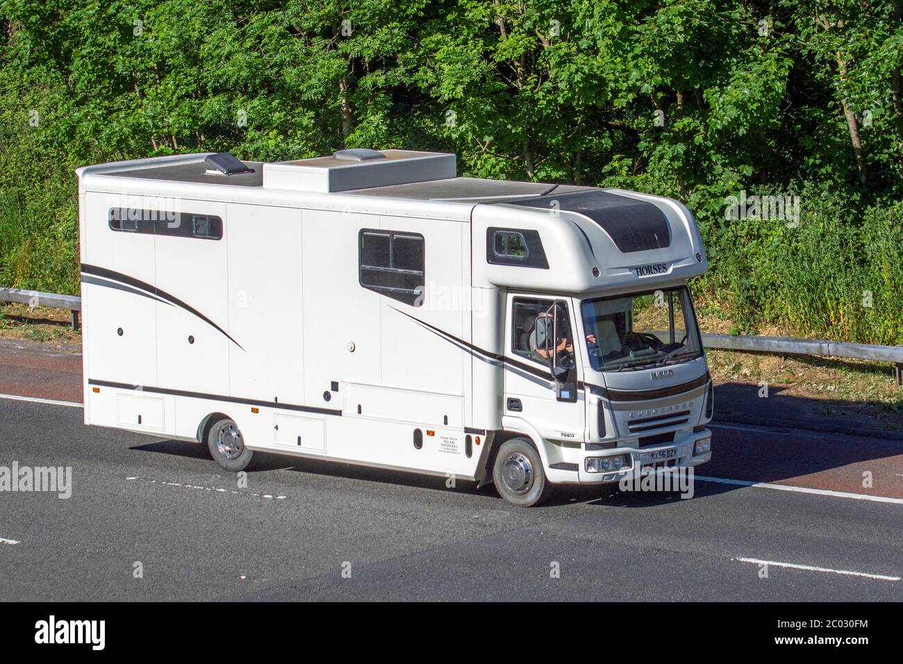 Iveco Euro Cargo, trasporto di animali sull'autostrada M6, Lancashire, Regno Unito Foto Stock