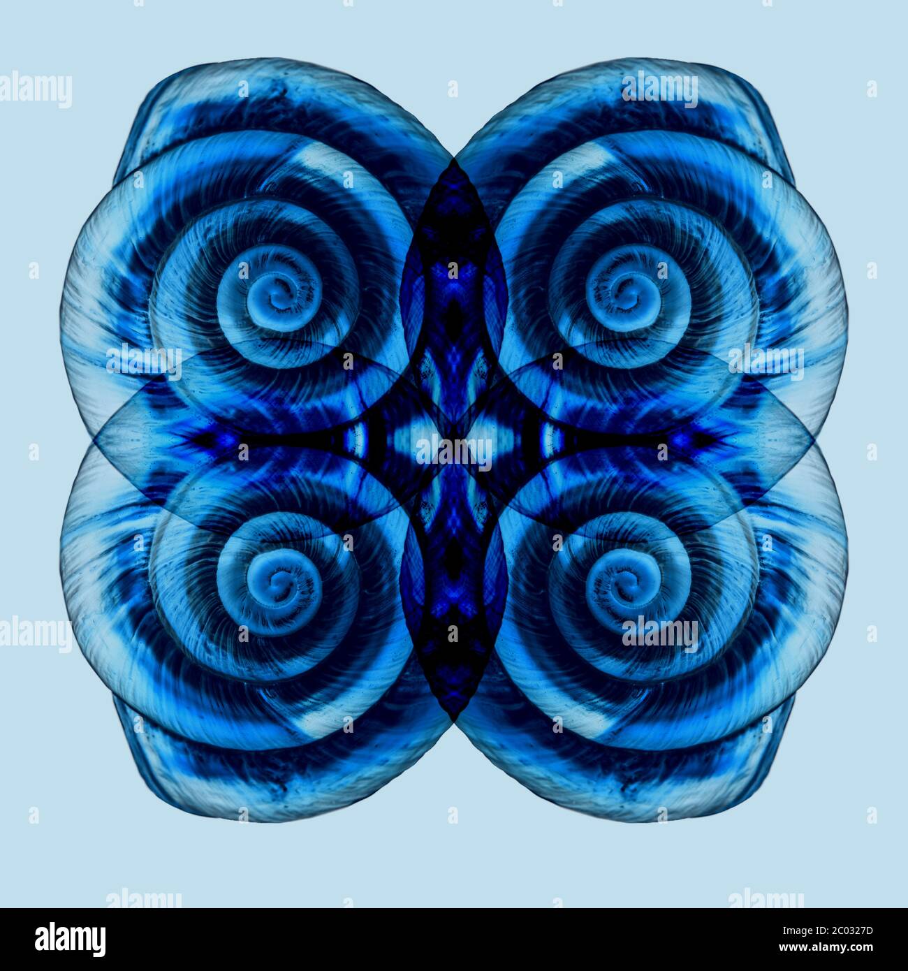 Modello astratto di conchiglia blu surreale. Motivo shell creativo e geometrico Foto Stock