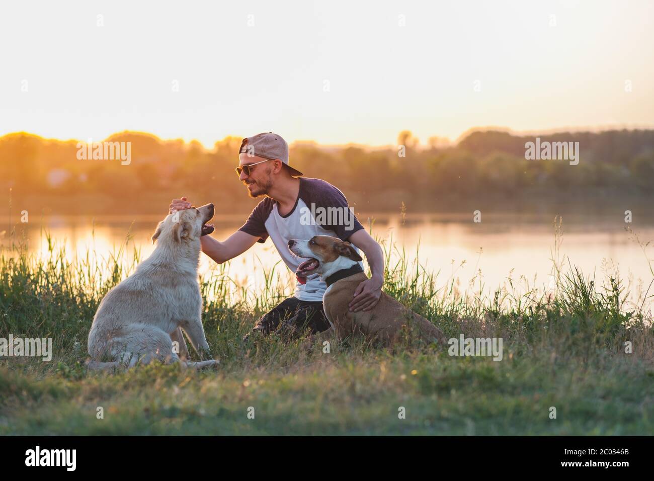 L'uomo accetta i suoi cani nella natura al tramonto sul lago. Rapporti umani e animali domestici, comunicazione e interazione, prendersi cura dei cani Foto Stock
