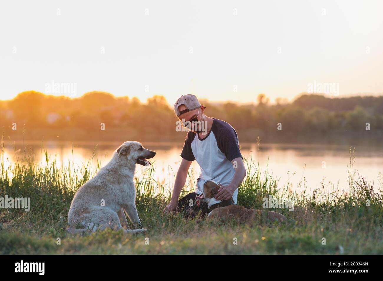 L'uomo accetta i suoi cani nella natura al tramonto sul lago. Rapporti umani e animali domestici, comunicazione e interazione, prendersi cura dei cani Foto Stock