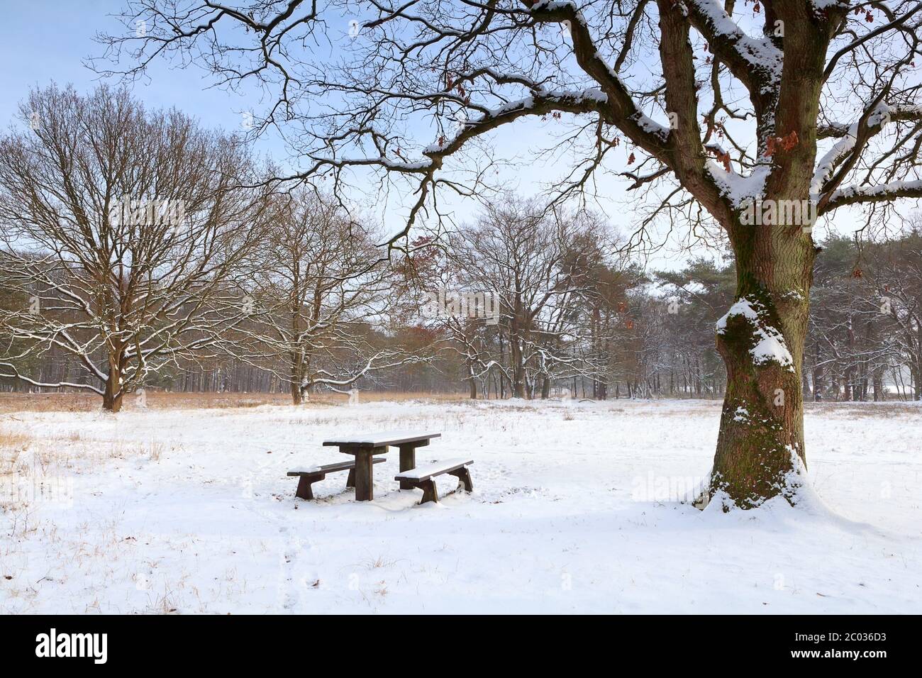 panca in luogo di riposo sulla neve in inverno Foto Stock