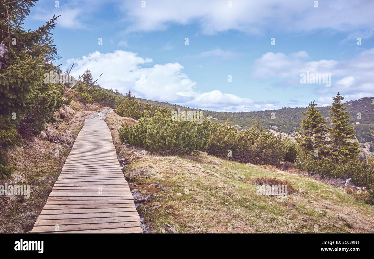Paesaggio montano nel Parco Nazionale di Karkonosze, sentiero per la vetta di Szrenica, foto dai colori tondi, Polonia. Foto Stock