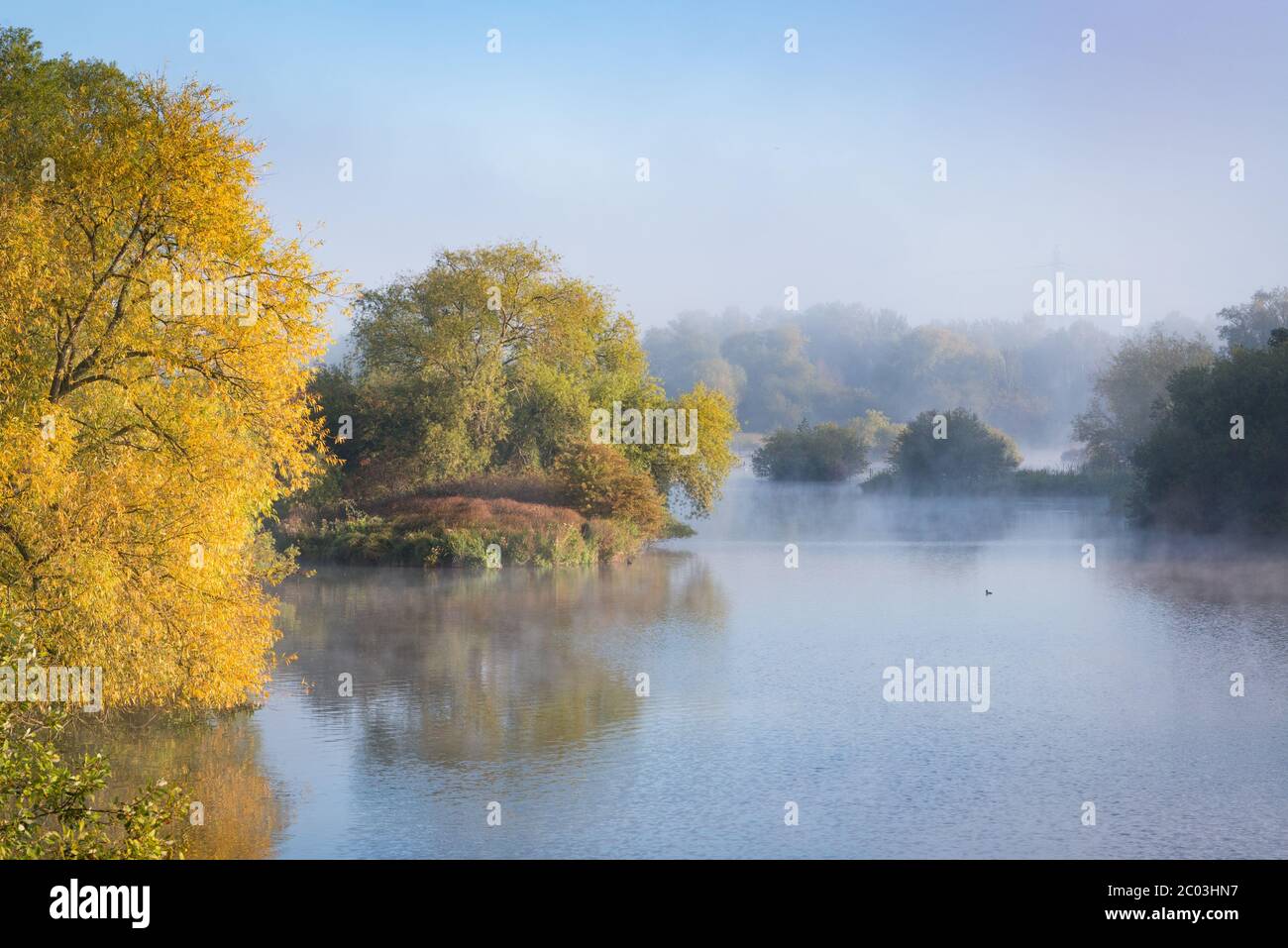 Un lago di Hooksmarsh misty nel River Lee Country Park, Essex, Regno Unito Foto Stock