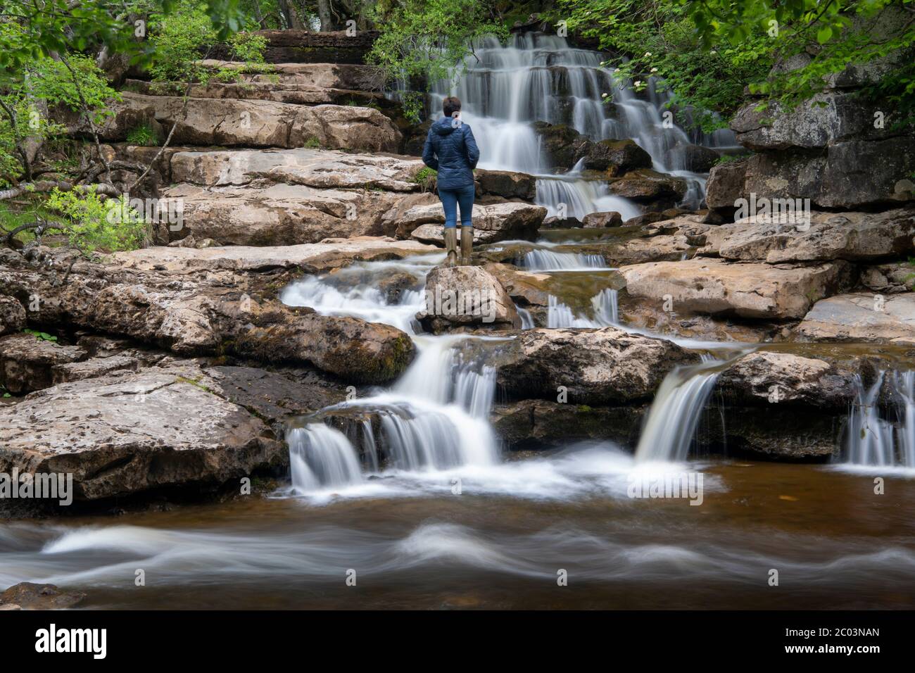 Donna sulle rocce che guarda la forza di Lower East Gill dove si unisce al fiume Swale vicino a Keld, Yorkshire Dales National Park, UK. Foto Stock