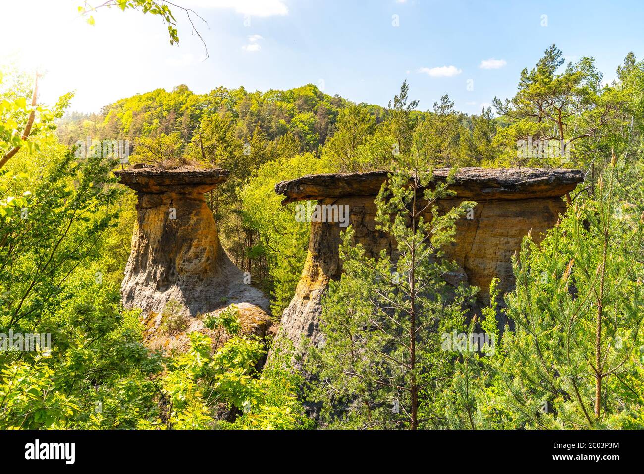 Rocce di Poklicky - unica formazione di tavoli in pietra arenaria nell'area protetta di Kokorin, Repubblica Ceca. Foto Stock