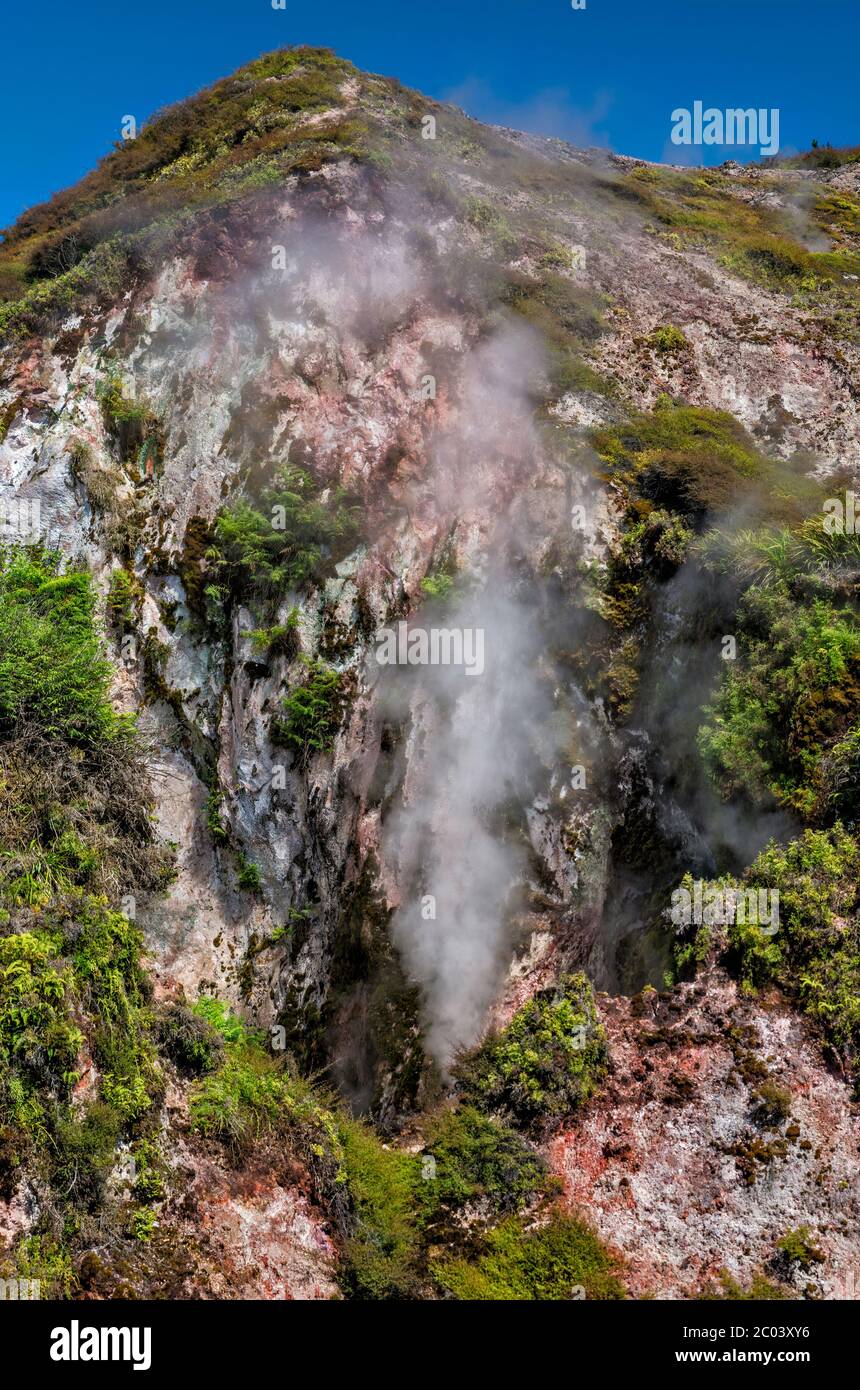 Fumarole al Cratere di fango, Craters of the Moon Thermal Area, Waikato Region, North Island, Nuova Zelanda Foto Stock