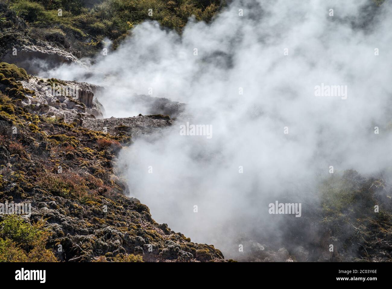 Sfiati a vapore presso i Craters of the Moon Thermal Area, Waikato Region, North Island, New Zealand Foto Stock