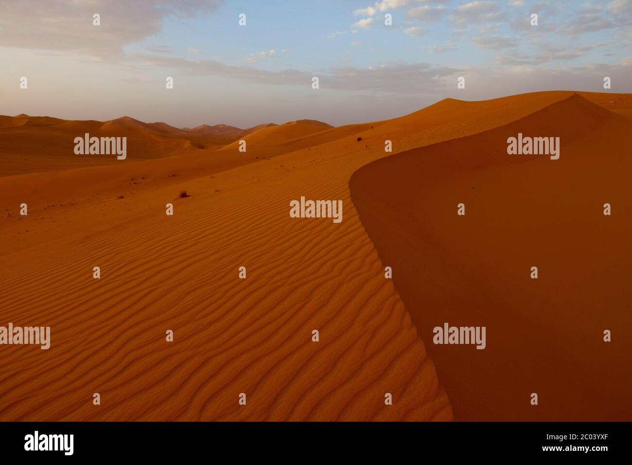 Dune di sabbia nel deserto del Sahara, Nord Africa. Foto Stock