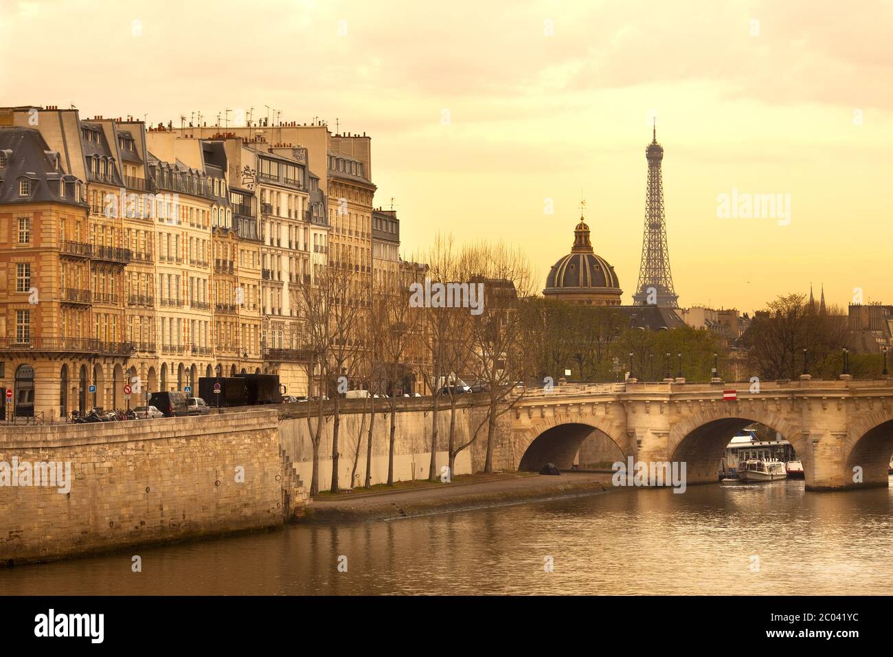 Città del centro con Pont Neuf Bridge e la Senna, Parigi, Francia Foto Stock