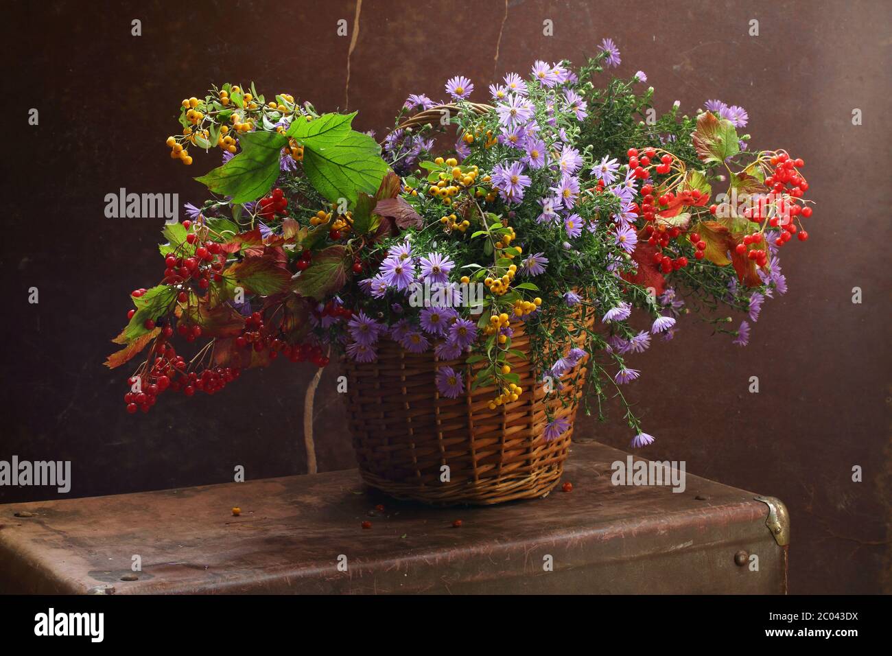 Fiori e rami di guelder-rose in un cesto wattled Foto Stock