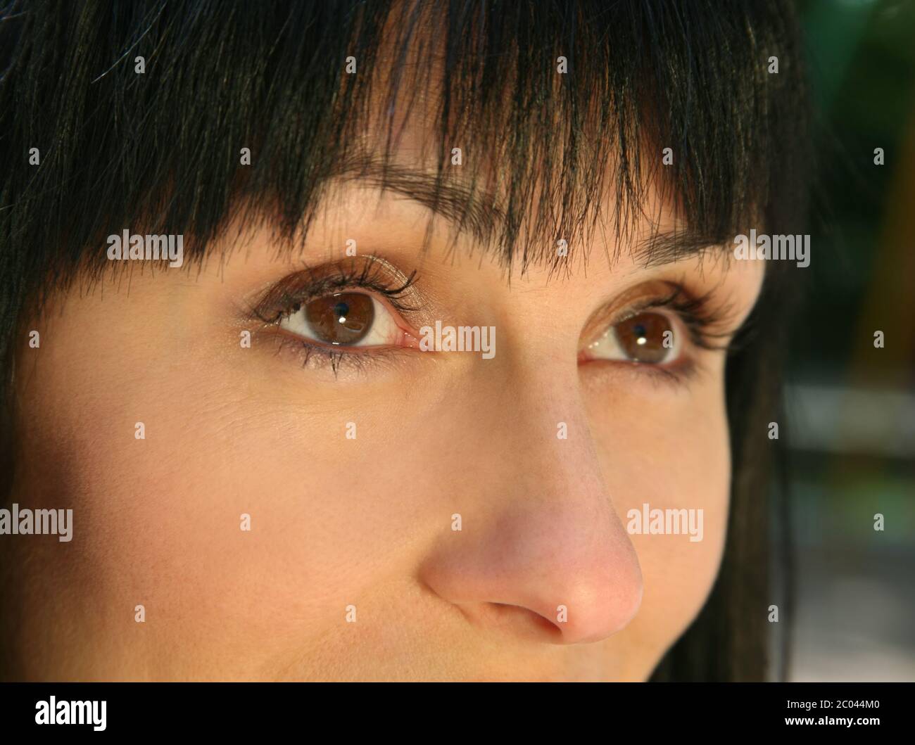 Occhio del Brown Foto Stock