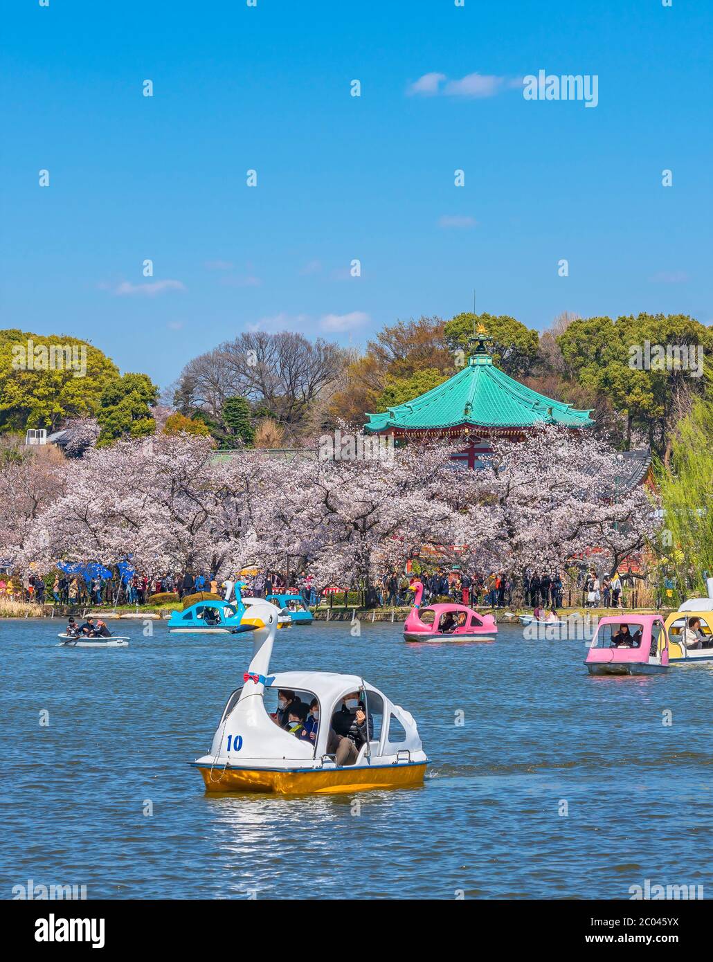 tokyo, giappone - marzo 31 2020: Famiglia giapponese con maschera facciale che gode di un pedalo in barca di cigno nello stagno di Shinobazu di fronte alla Sala di Bentendo di Kaneiji Foto Stock