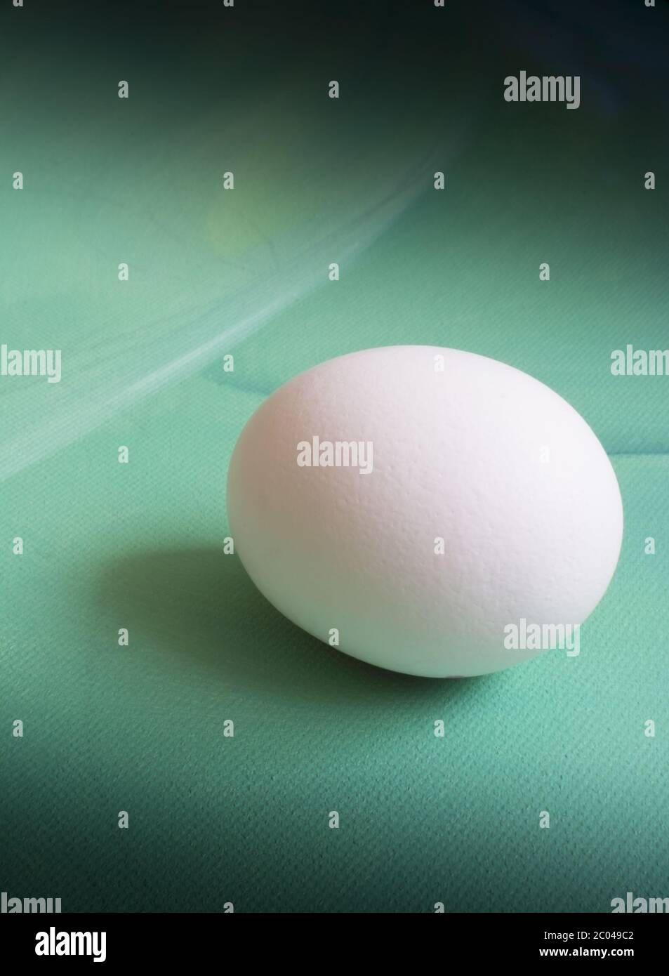 Uovo bianco su verde tela Foto Stock