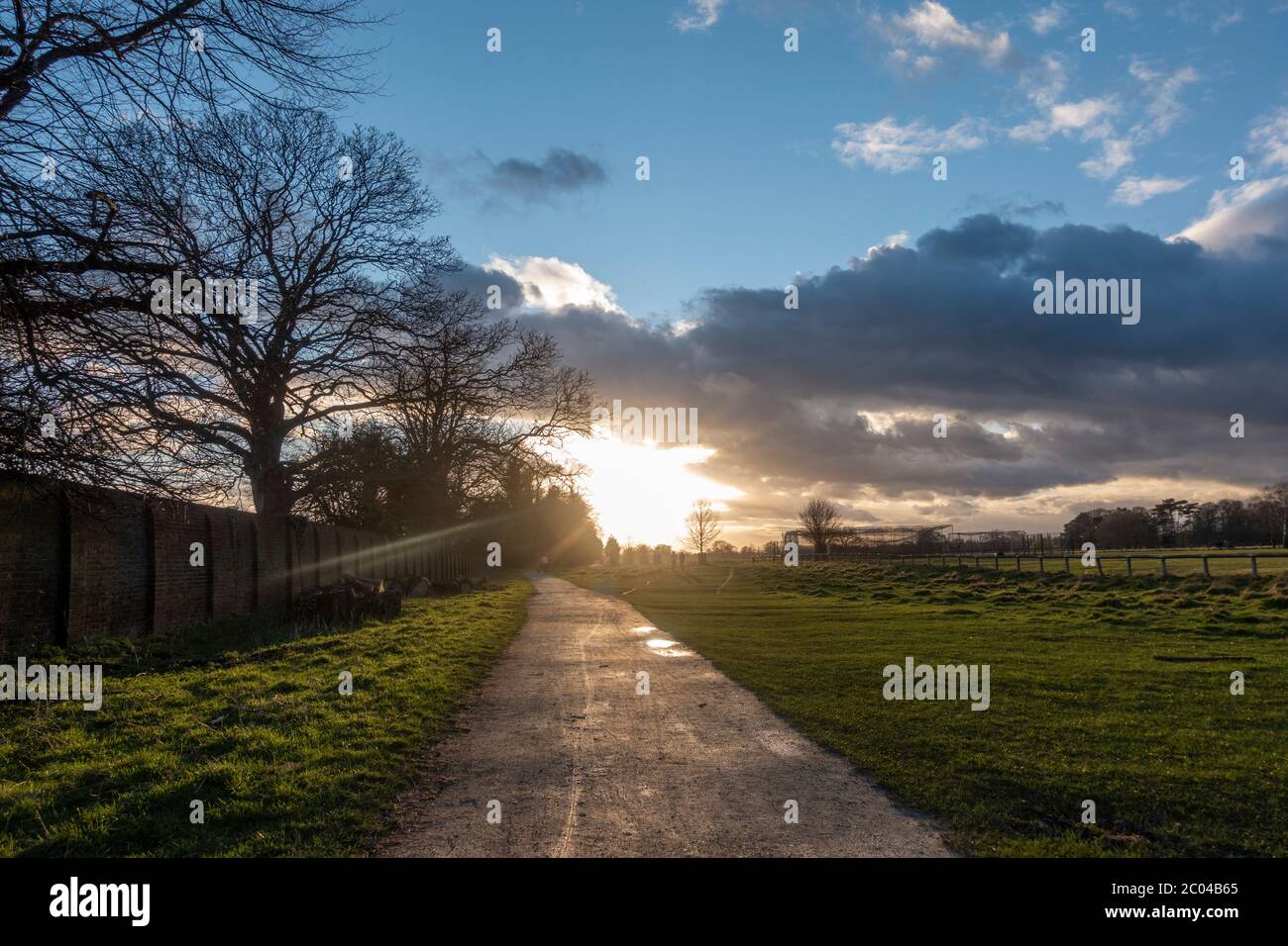 Vista del tramonto lungo un sentiero a Bushy Park, Richmond upon Thames, Regno Unito. Foto Stock