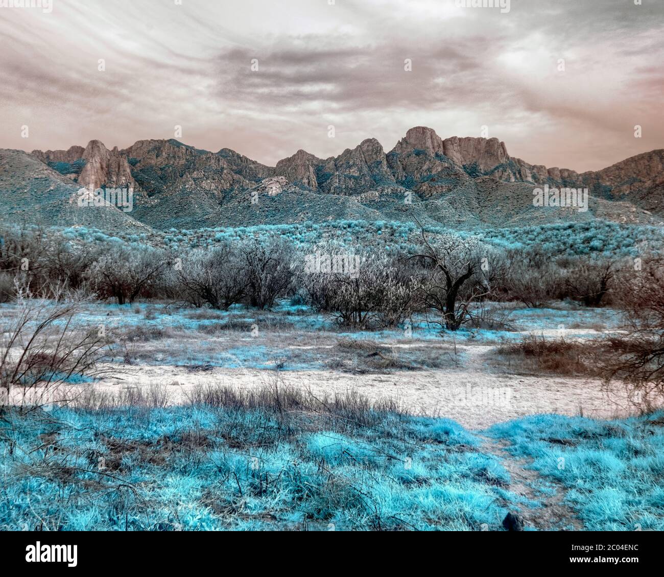 650nm infrarosso paesaggio Fotografia immagine con le montagne nella contea di Pinal dell'Arizona meridionale nella vegetazione del deserto della zona di Tucson in inverno Foto Stock