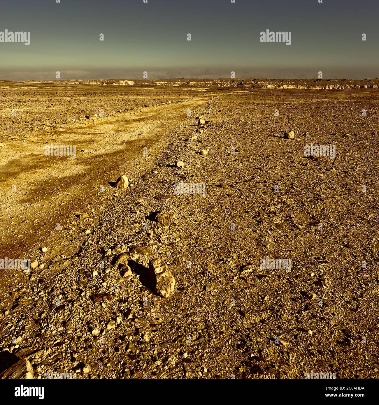 Deserto di Negev Foto Stock