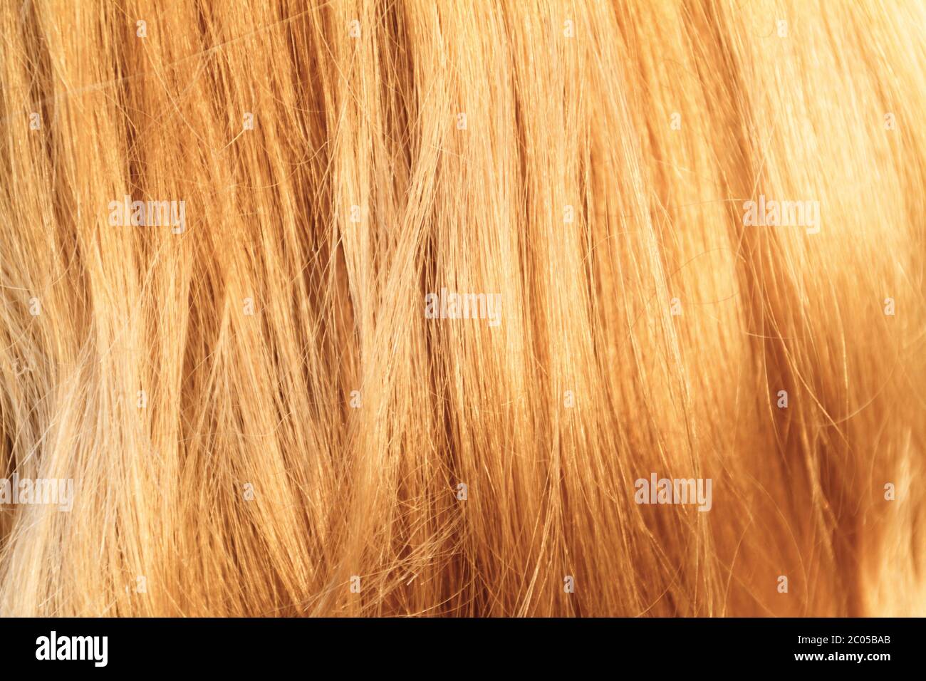 Capelli biondi. Texture capelli biondi - foto closeup Foto Stock