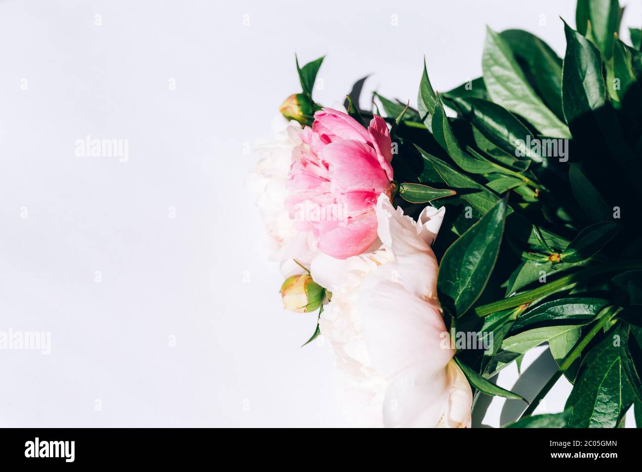 Bel bouquet di peonie su sfondo bianco, peonie fiorite Foto Stock