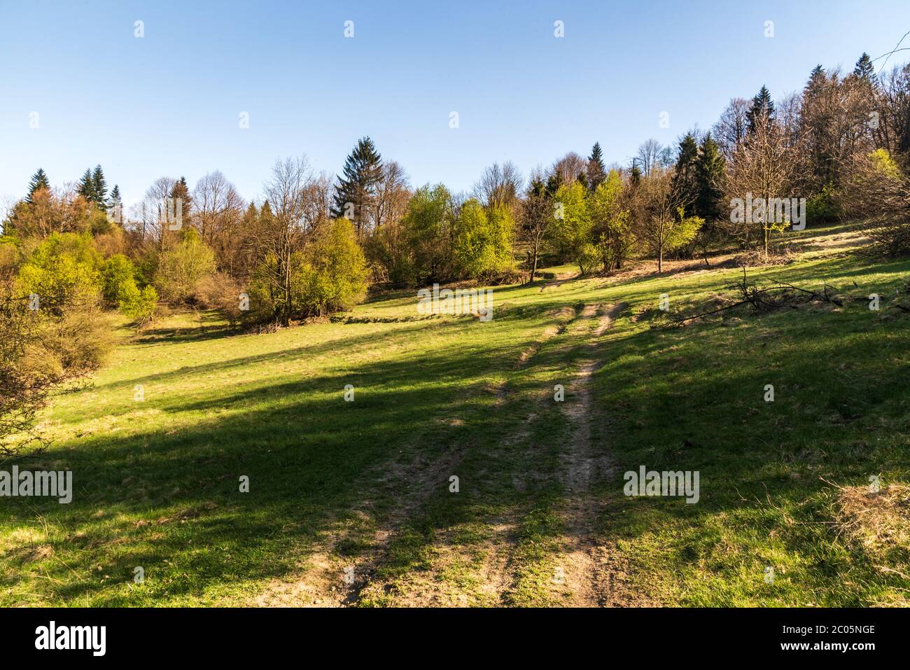 Paesaggio montano primaverile con prato, sentiero, alberi e cielo limpido sopra la città di Cadca in montagne Javorniky in Slovacchia Foto Stock