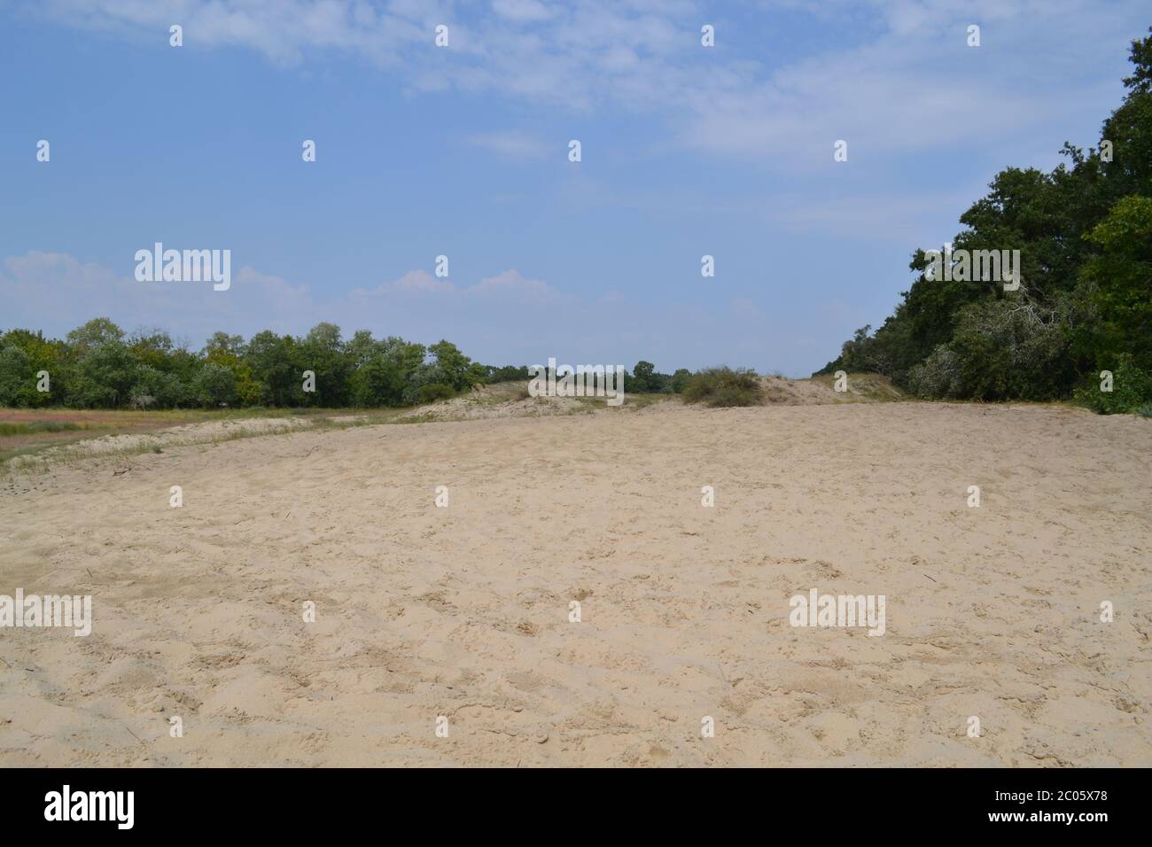 dune di sabbia nel delta del danubio Foto Stock