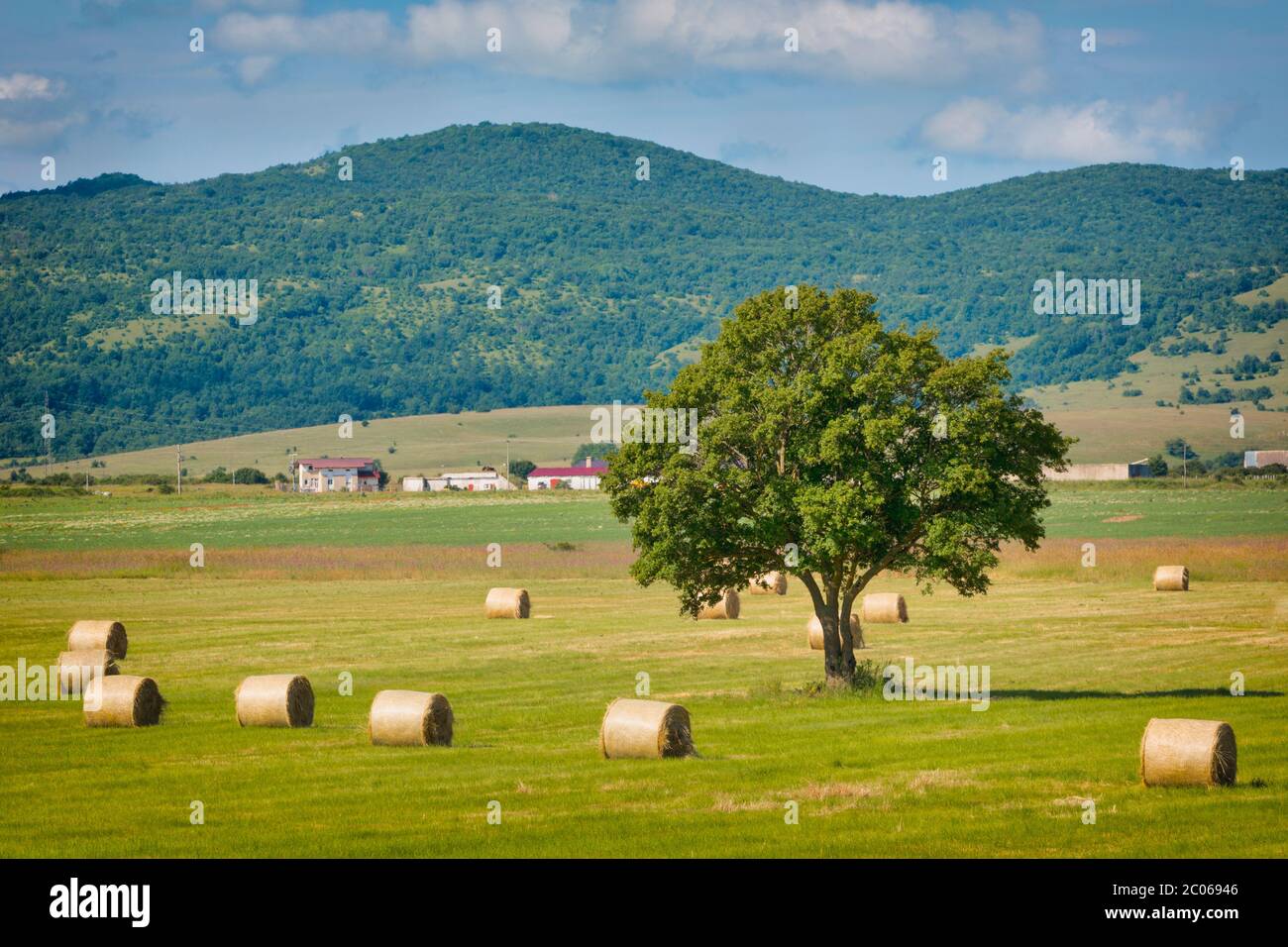 Rotoli di fieno vicino a Josan, Lika-Senj County, Croazia. Scena agricola. Foto Stock