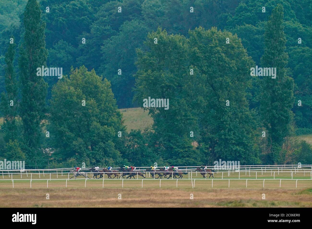 Una visione generale come corridori durante il MansionBet orgoglioso di sostenere British Racing Median Auction Maiden Stakes presso l'ippodromo di Newbury. Foto Stock