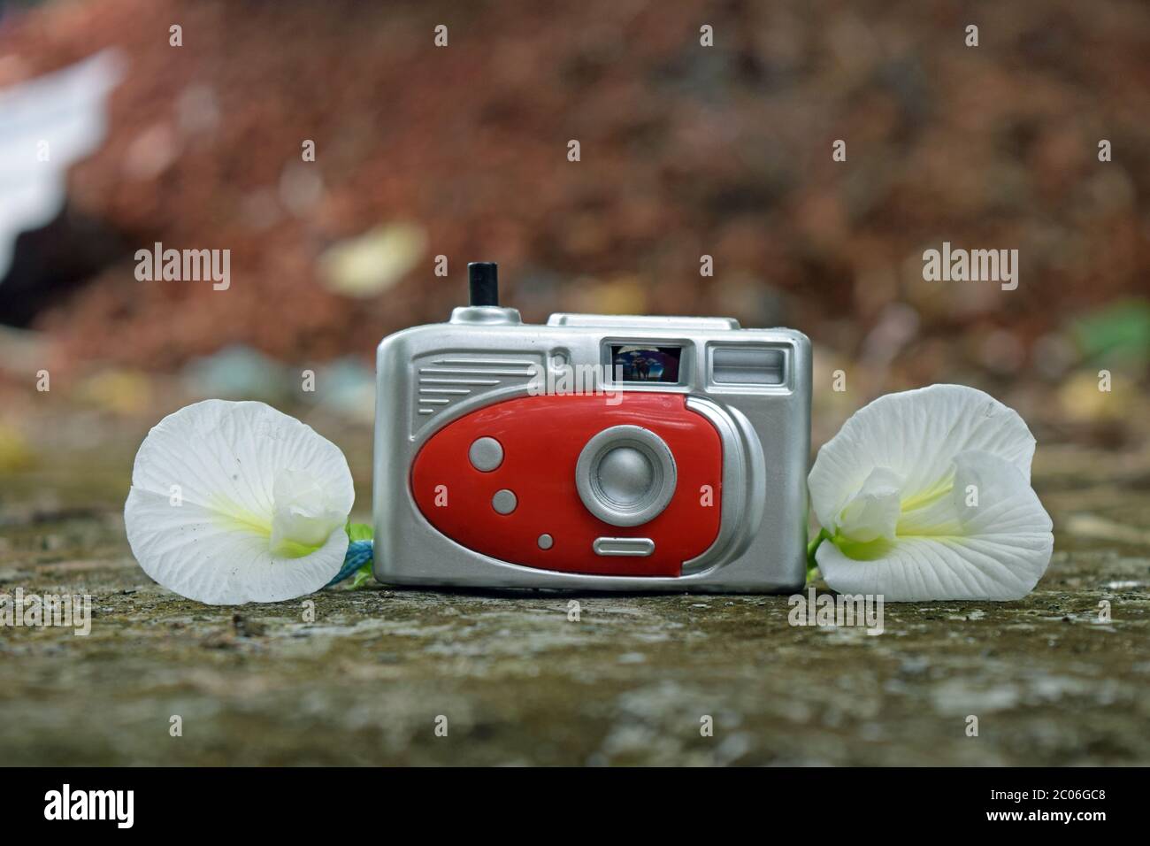 Piccola macchina fotografica giocattolo con fiori bianchi Foto Stock