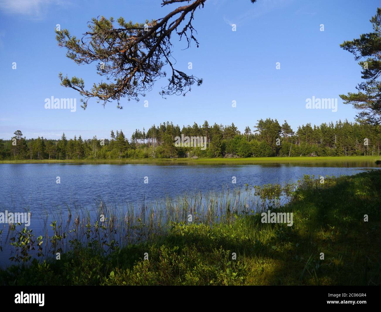Paesaggio in Svezia Foto Stock