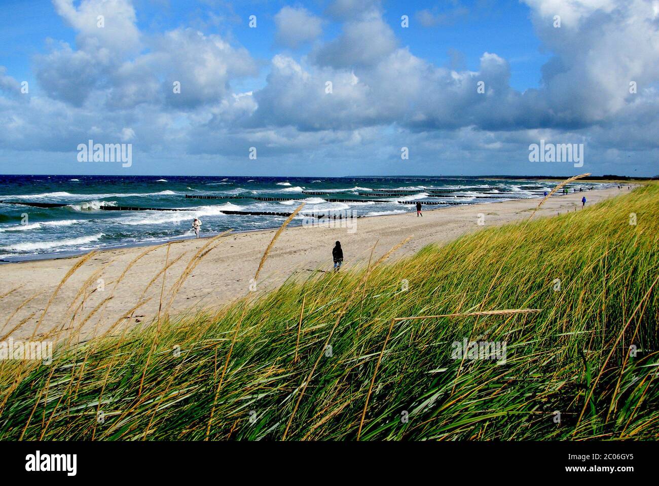 composizione di spiaggia, mare e vegetazione nel mare orientale germania Foto Stock