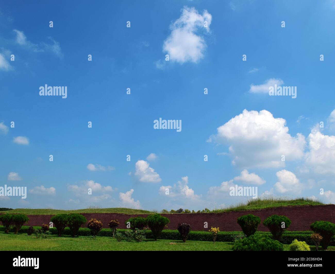 Bel campo verde e cielo blu in Asia meridionale Foto Stock