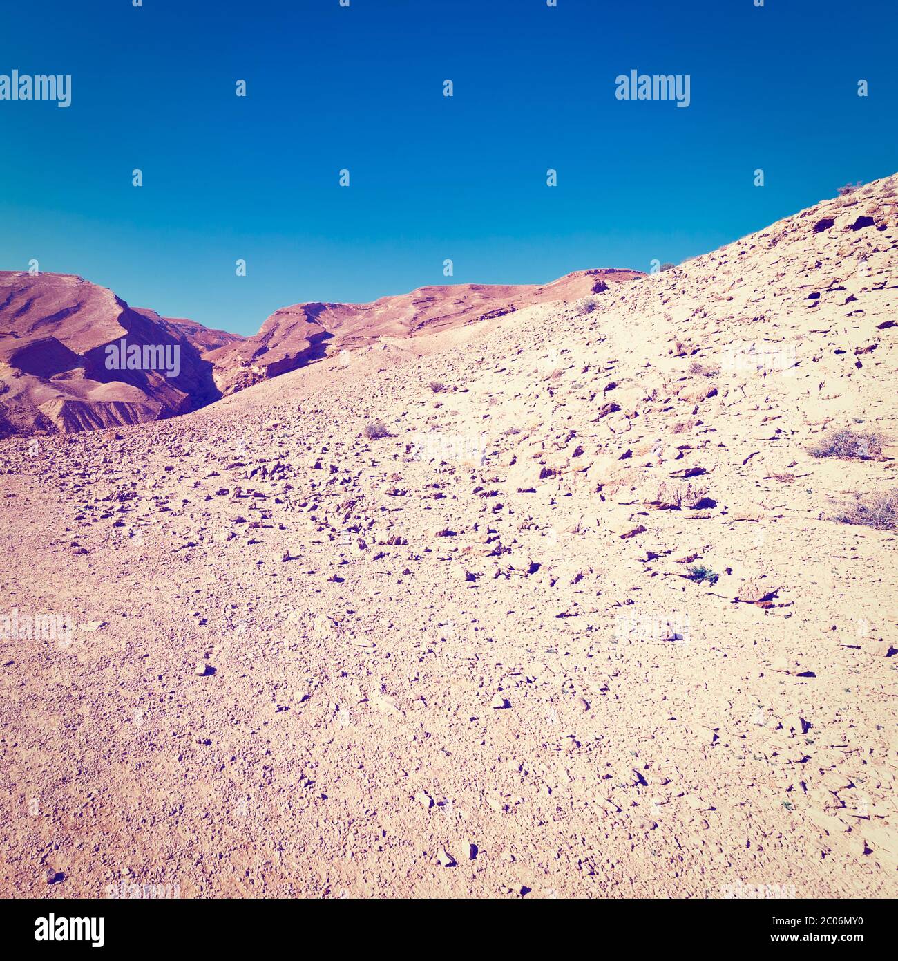 Deserto in Israele Foto Stock