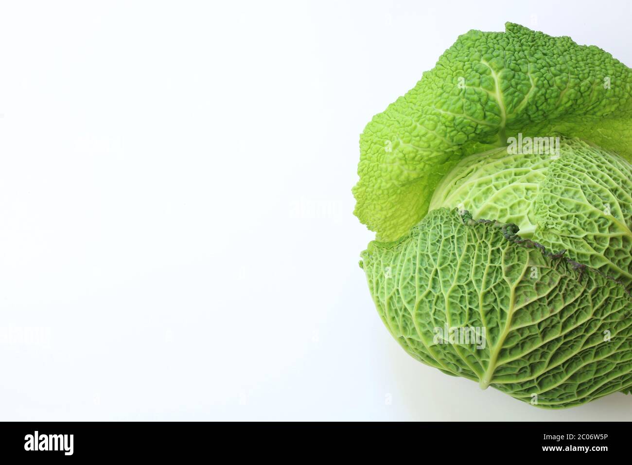 Concetto vegetale. Freschi cavoli verdeggianti sabaudi isolati su sfondo bianco. Vista dall'alto, spazio di copia. Foto Stock