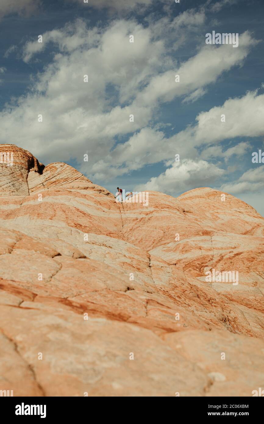 escursionista e cane a piedi in crux di dune di sabbia pietrificata all'orizzonte del deserto Foto Stock