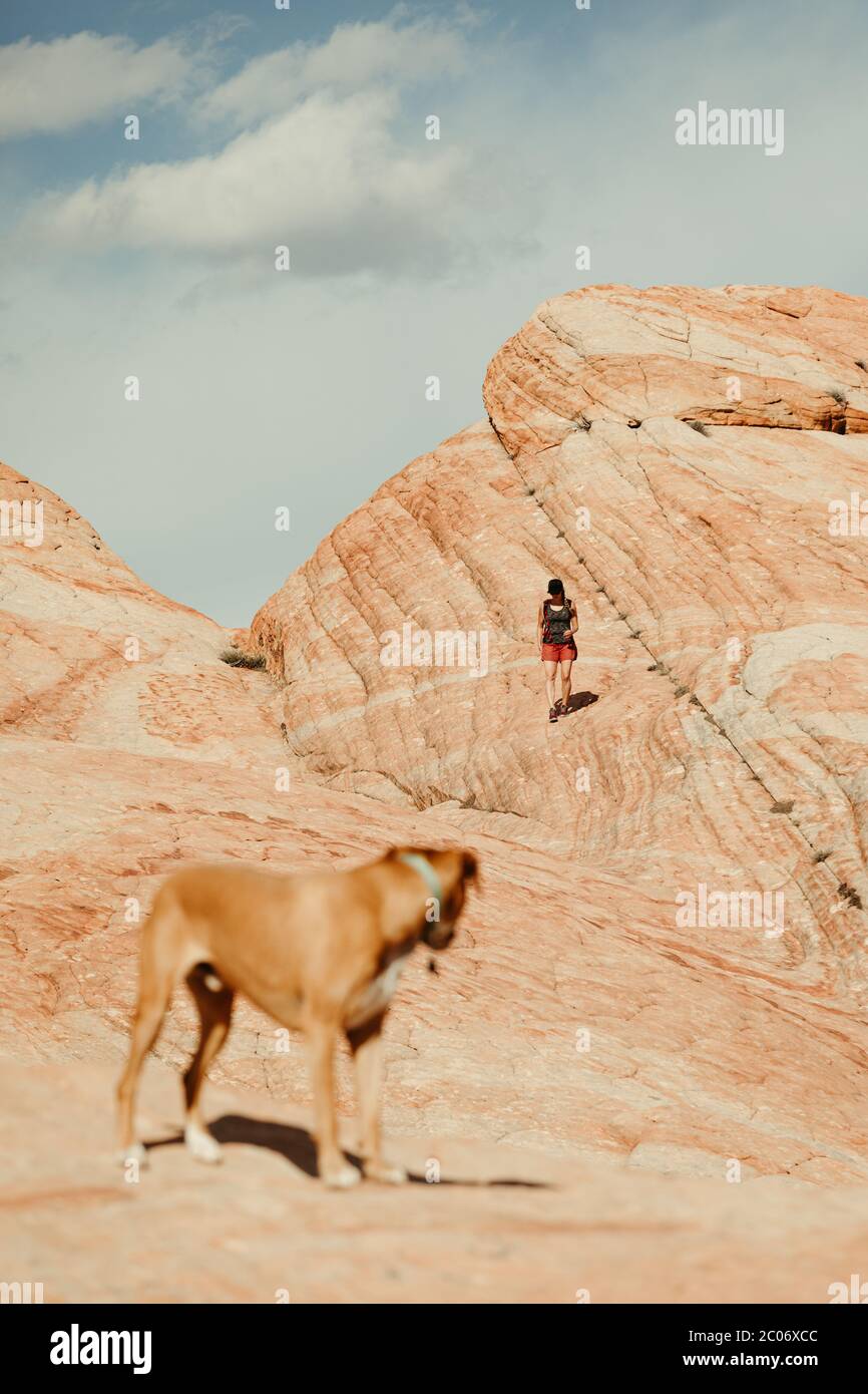 escursionista in pantaloncini rossi passeggiate con il cane giù rocce rosse dune pietrificate Foto Stock