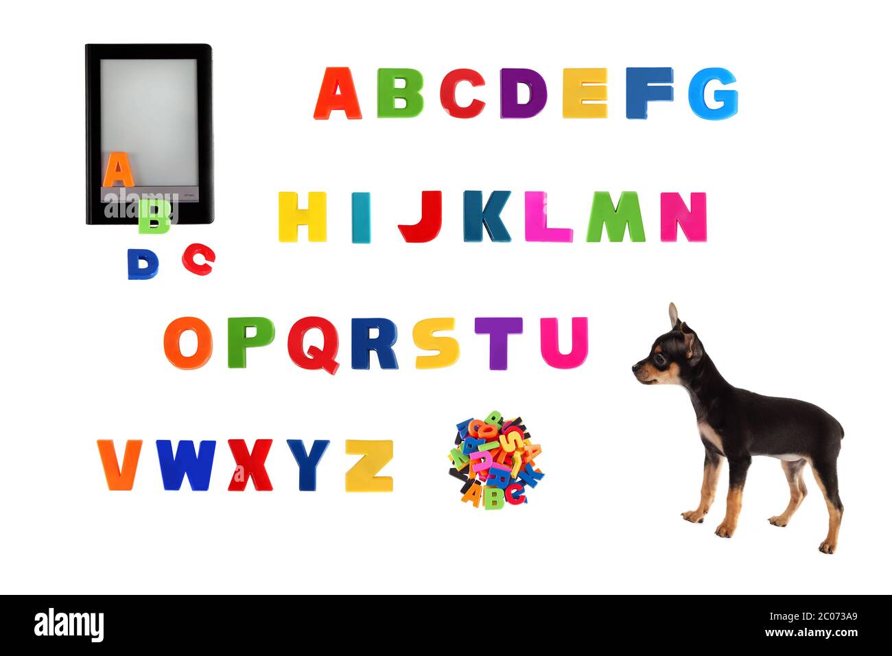 Alfabeto, libro elettronico e cucciolo giocattolo-terrier su sfondo bianco. Foto Stock