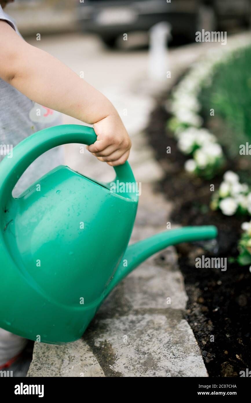 Bambina innaffiare piante a casa clos. Foto Stock